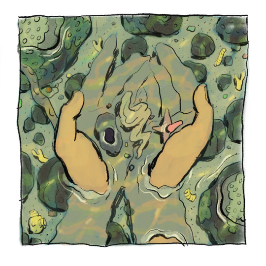 You keep dreaming about the ocean
