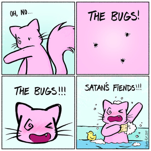wonkykatcomix