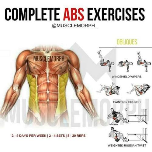 sashacoki:Complete ABS Exercises