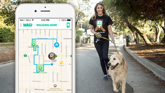 Meet Wag, an App to Help You Find a Dog Walker