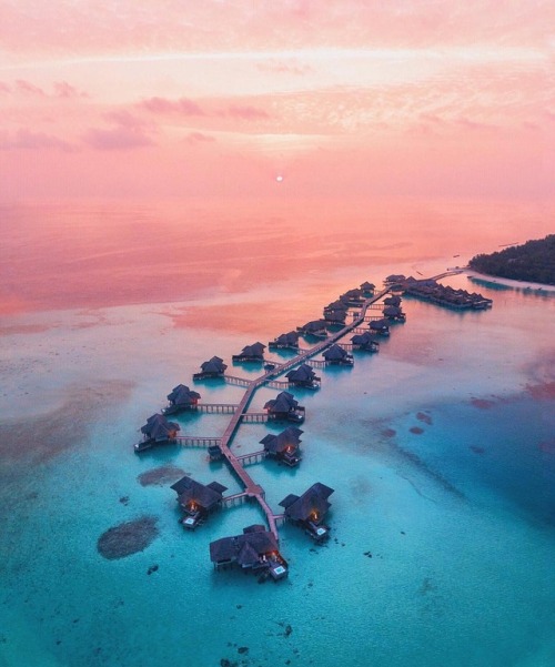 earth:Maldives @