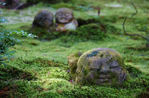 chitaka45:京都大原三千院Ohara Sanzenin Temple