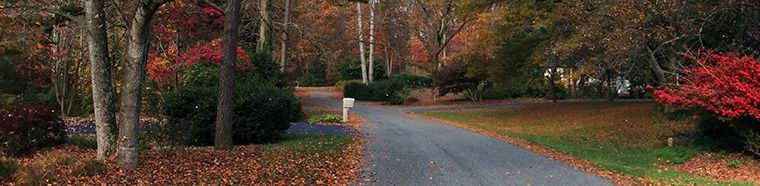 fall
