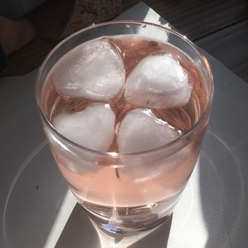 terefah:i love these heart shaped ice cubes 