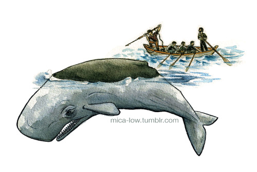 From a project on the Azores and their historical whaling trade...