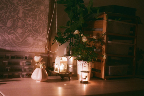 lomopotato:untitled by inmost_light on Flickr.