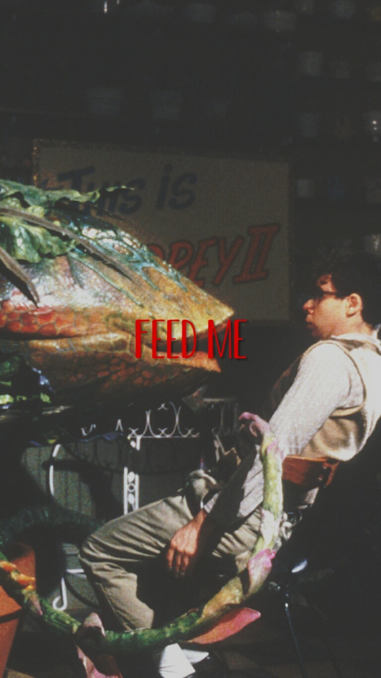 Requests Are Open Little Shop Of Horrors 1 Requests Are Open Little Shop Of Horrors 1