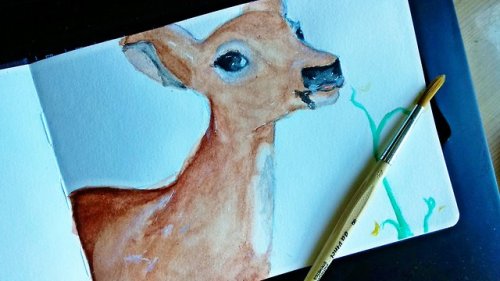 Trying to get back into watercolors! Drew this deer as I have...