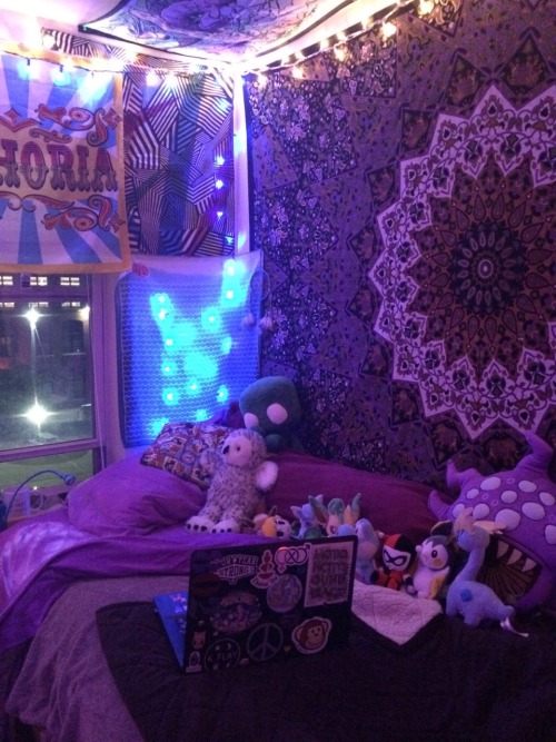 Dorm Room Decor On Tumblr