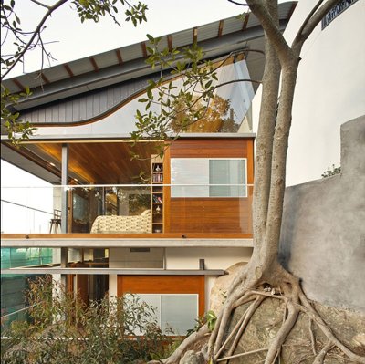 aros:<br /><br />Angophora House by Richard Cole Architecture<br />