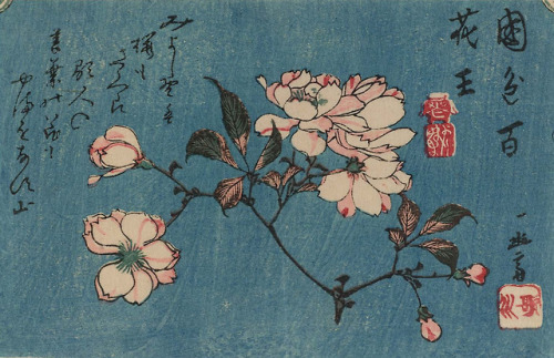 trulyvincent:Utagawa Hiroshige (Japan, 1797−1858)