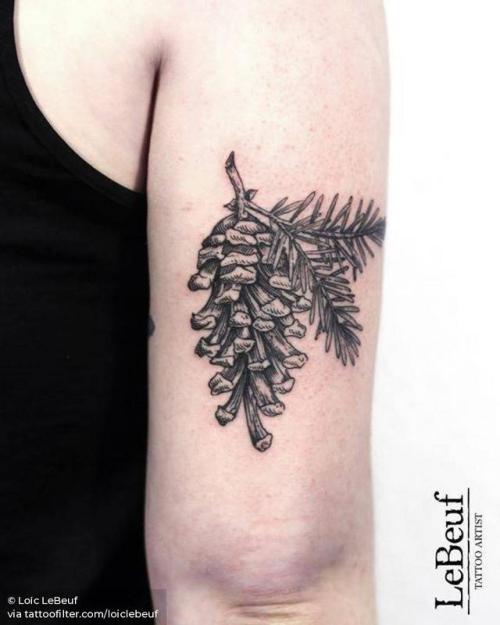 By Loïc LeBeuf, done at Grotesque Tattooing, Carouge.... loiclebeuf;tricep;pine cone;facebook;nature;blackwork;twitter;engraving;medium size