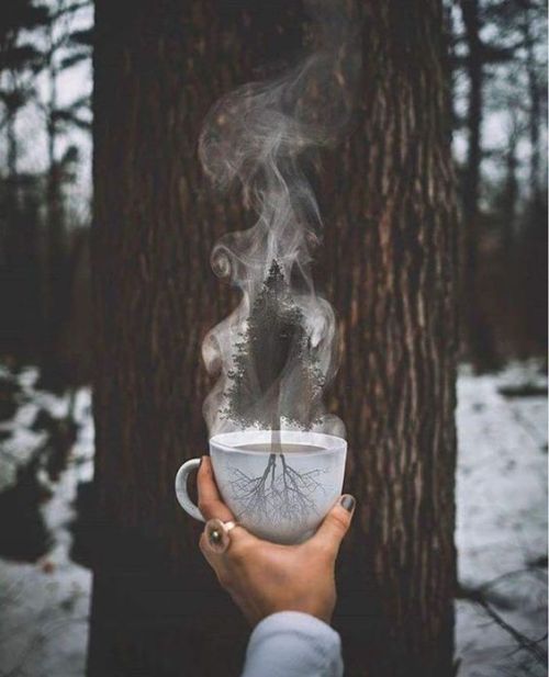 coffeeinspirations:wander with me 