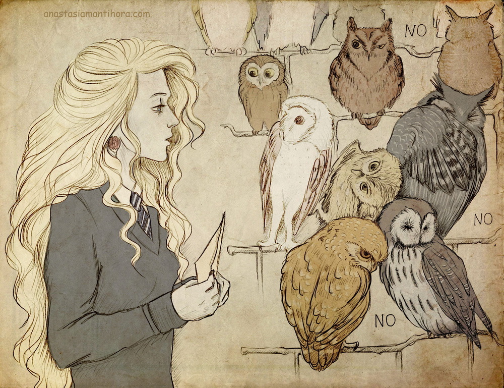 The Unofficial Harry Potter Fan Art Collection