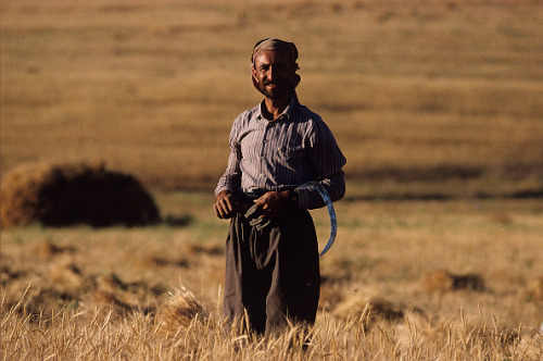 m4zlum:Eastern Kurdistan, 1990s by Kaveh Kazemi