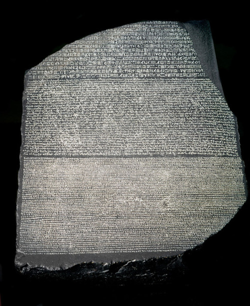 rosetta stone totale companion mc3005 rosetta stone totale companion mc3005