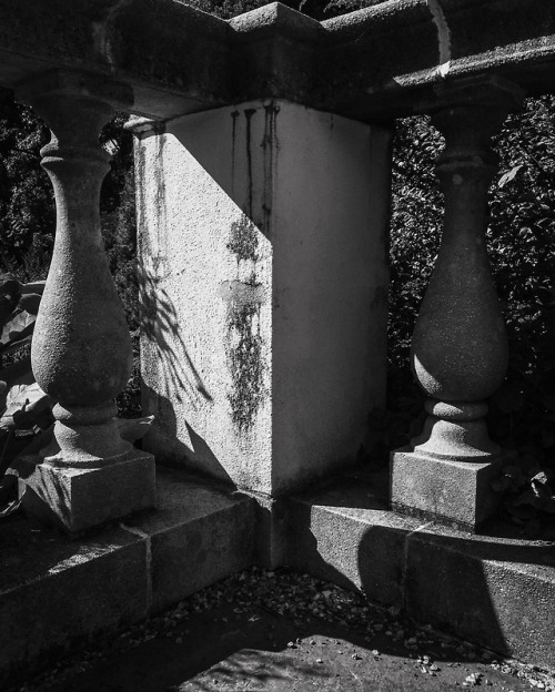 joeinct:Old Garden, Stamford, CT, 9 16 18, Photo by Joe Bruha,...