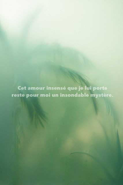 Image De Citation Citation Amour Pour Lui