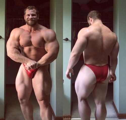 buffbeefybear