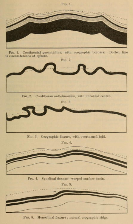 nemfrog:“A rotating straticulate spheroid.” The American journal...