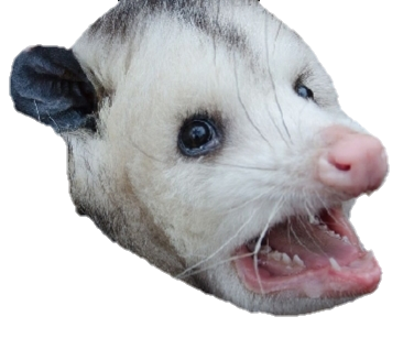 discord emojis opposum tumblr emoji opposums decided needs edit some