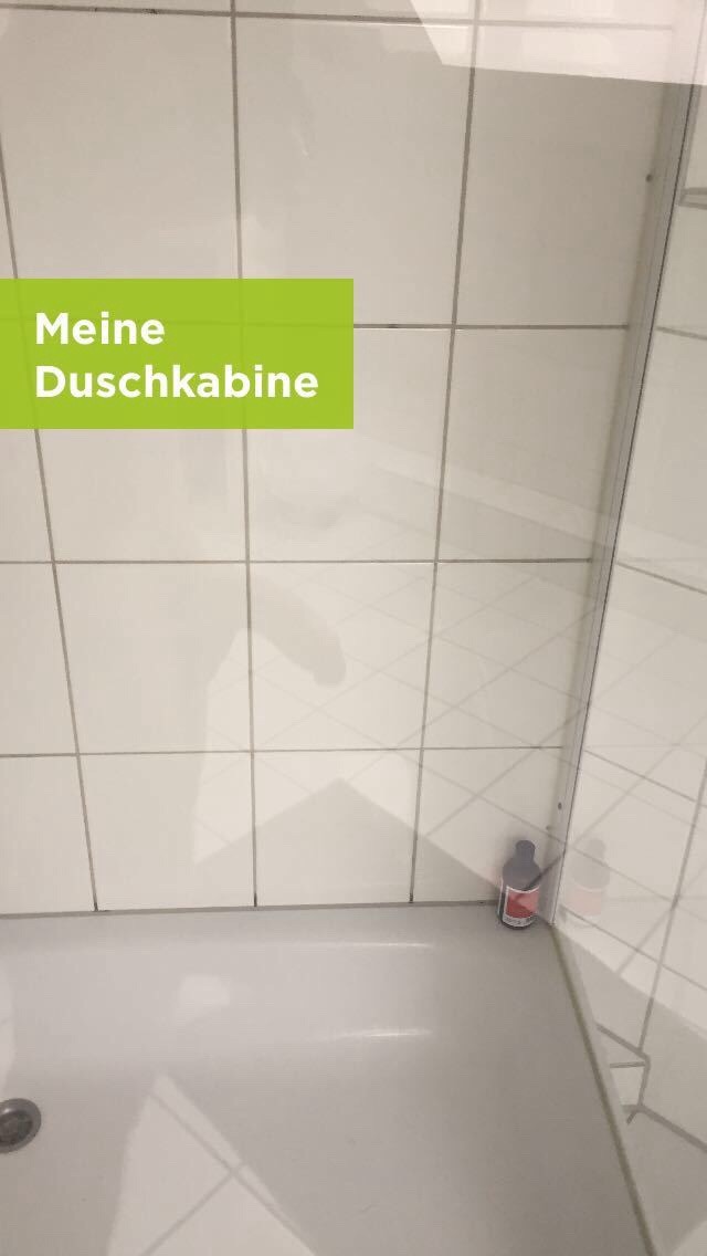 Prachtschwanz Prachtschwanz