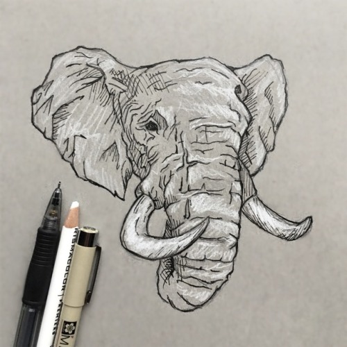 elephant drawing on Tumblr