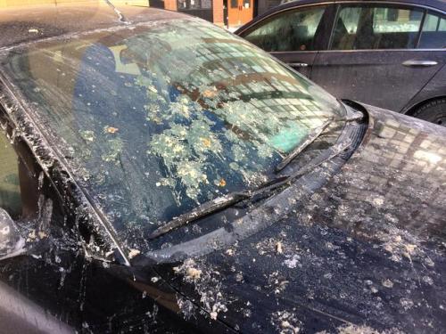 Wake up to frozen vomit all over my car from the balconies...