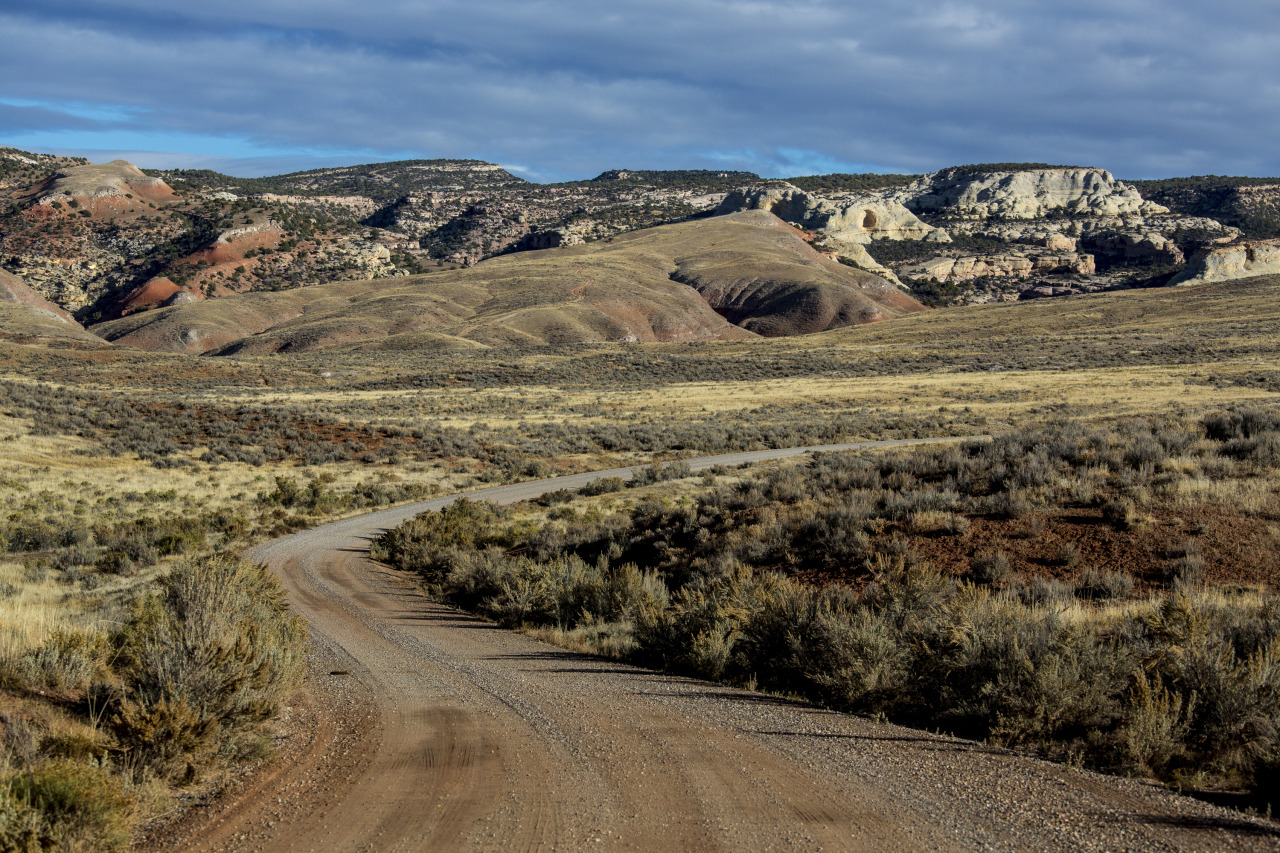 red gulch dinosaur tracksite