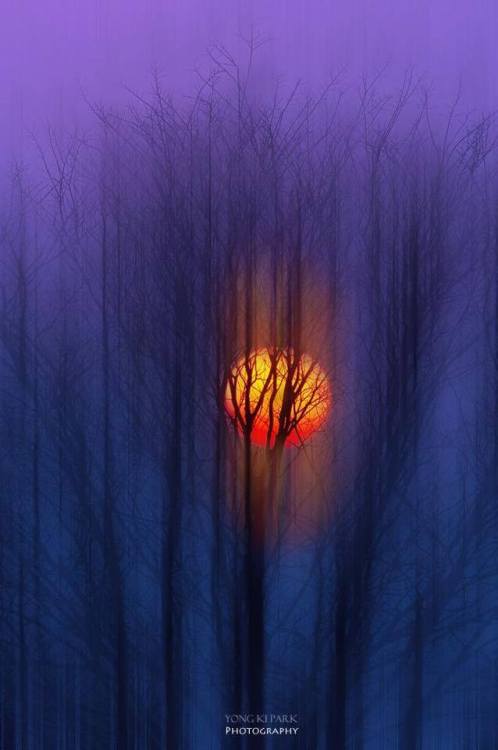 rosiesdreams:Within the sunset .. By © Yong Ki Park