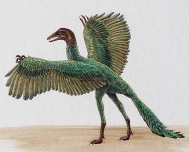 late bird dinosaur