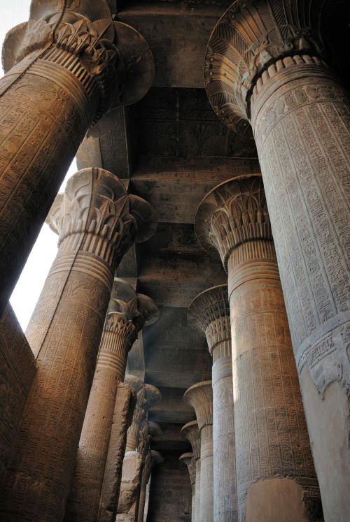 grandegyptianmuseum:Ornate columns within the Hypostyle Hall in...