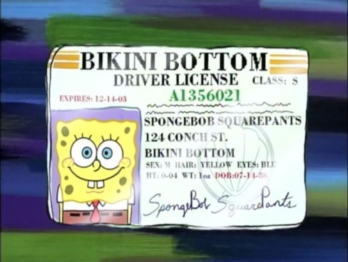 somenerdthing:Spongebob is 31 years old, but i think the real...