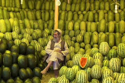 visitafghanistan:The Melon Seller Of Kabul.Kabul,...