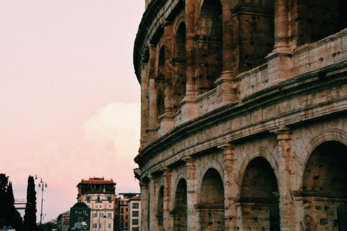 smalls studies abroad rome colosseum Ancient Rome tagamemnon