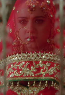 Zaara Tumblr