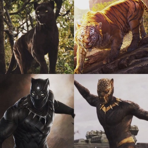 Bagheera Vs Shere Khan(Jungle Book 2016) & Black Panther Vs...