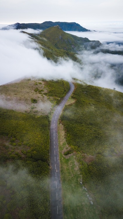 bokehm0n:Fall in love with the landscape of Madeira.