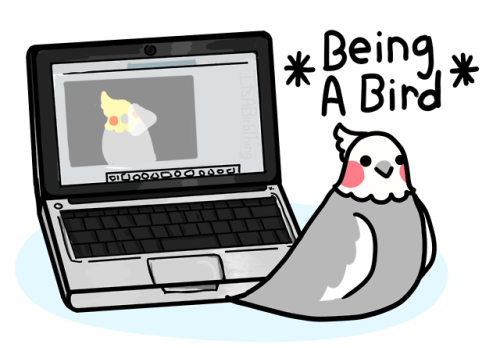 itsabirbthing:Gotta be the loudest birb!