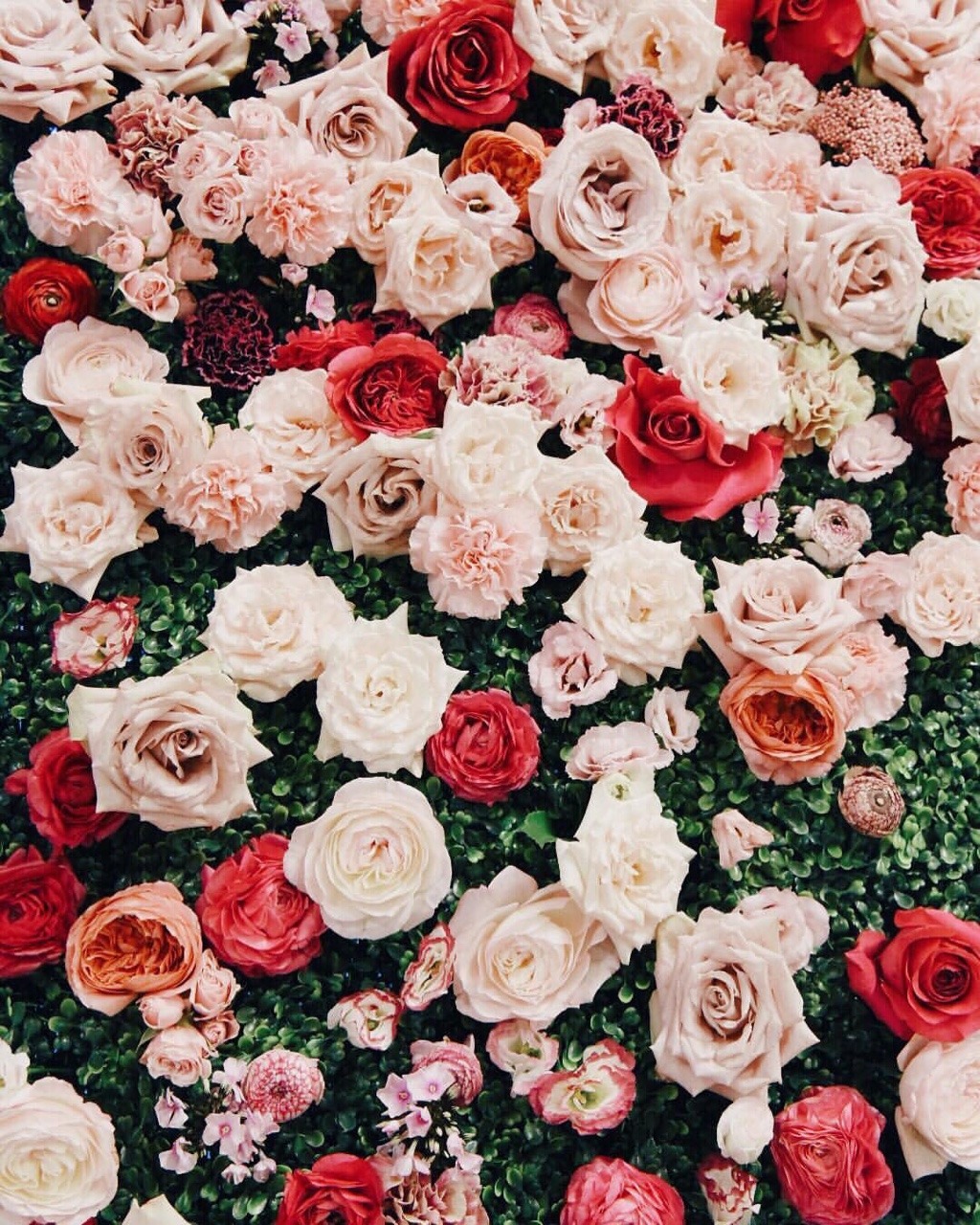 fleur aesthetic