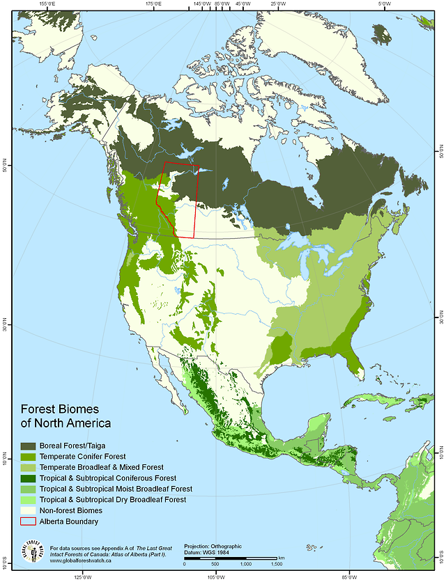 Forest Biomes of North America. - Maps on the Web