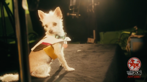 ranboo little misfortune puppy ranboo little misfortune puppy