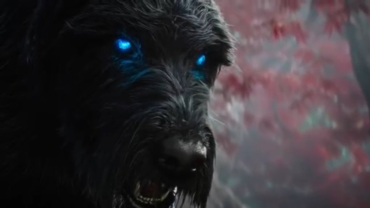 Skyrim barbas Skyrim barbas