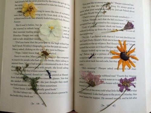 books-andflowers:Books and dry flowers 