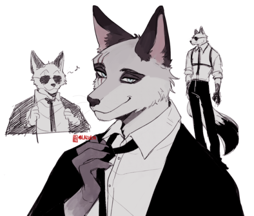 furry oc furry