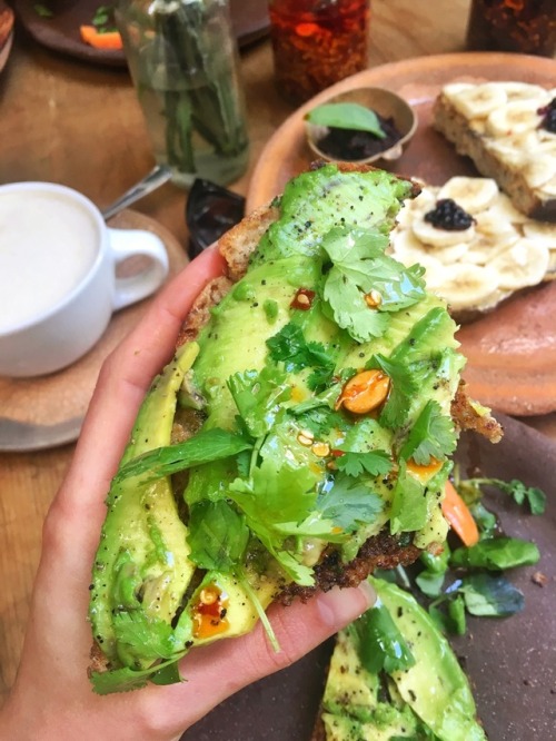 veganfeelsgood:Counting on avo toast and chai lattes to cure me...