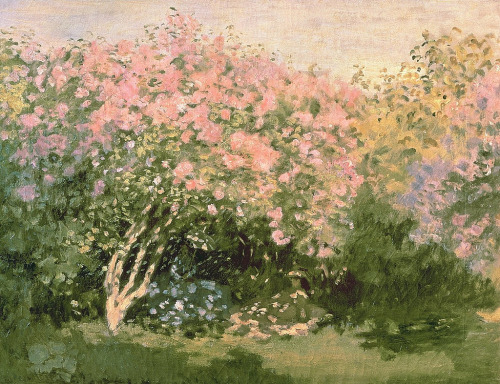 dappledwithshadow:Claude MonetLilacs in the Sun1872