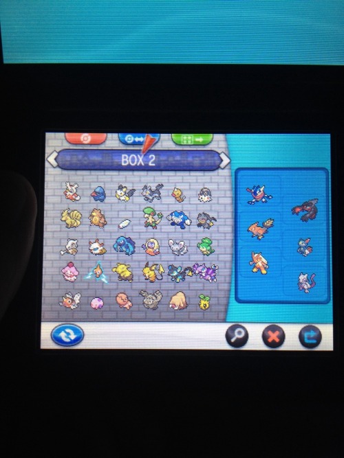 moobjob:This is my collection of pokemon (-5 whole boxes more)...