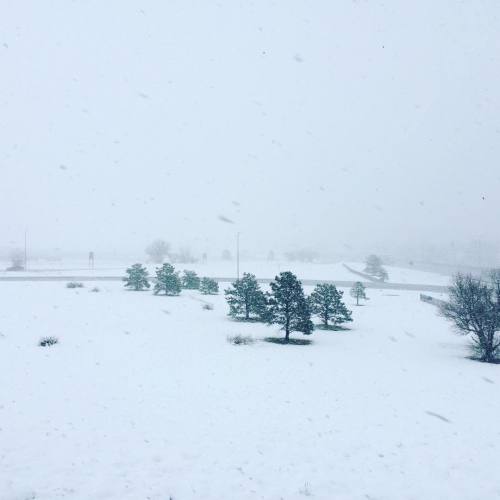 Just another spring morning here in CO✌️ #yourrebellife #letitsnow #whathappenedtospring