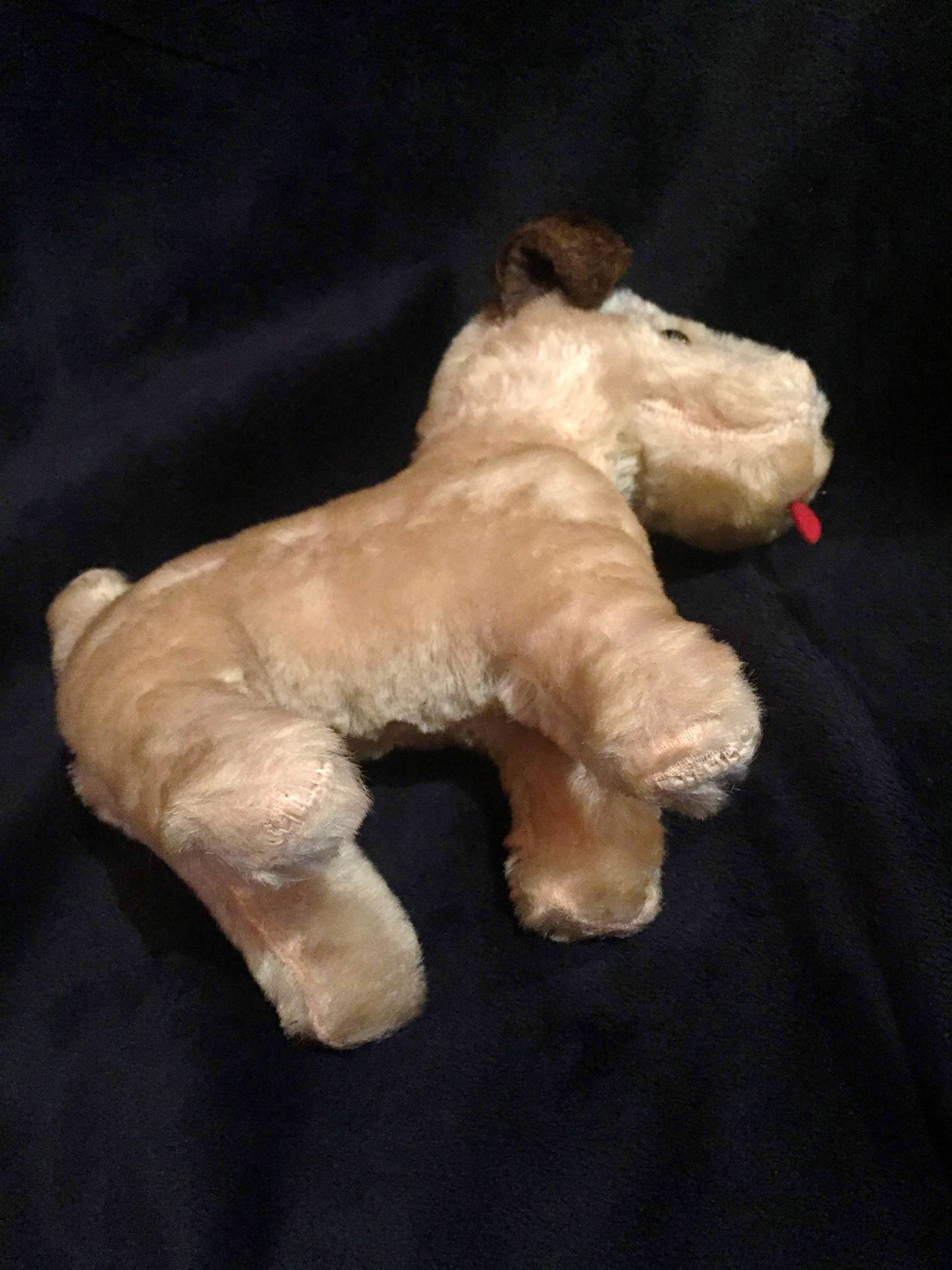 steiff toy dog